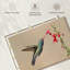 Colibri buvant du nectar à bec large-107887401