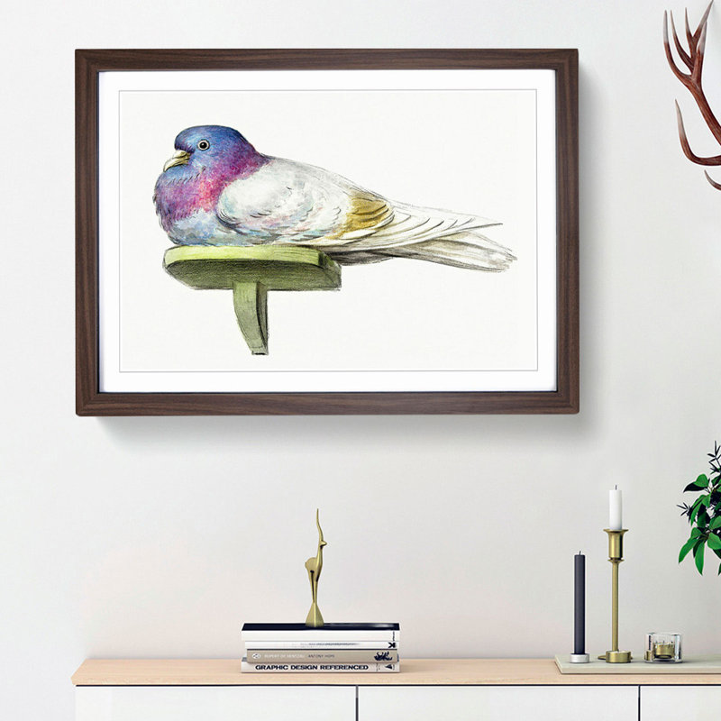 Pigeon by Jean Bernard - Picture Frame Painting Print, 27cm H x 36cm W x 2cm D, Walnut Framed