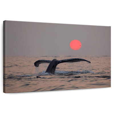 Brampt Humpback Whale Tail