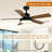 44'' Ceiling Fan with LED Lights
