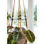 Elevated Planter