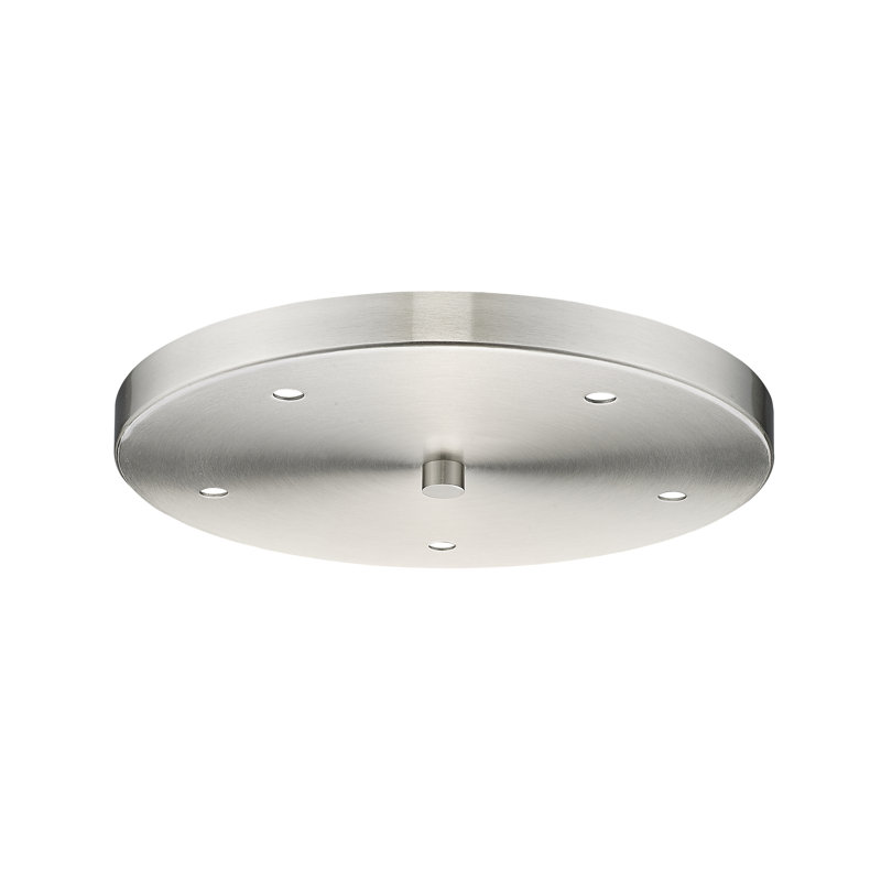 5 Port Multi Point Canopy, Brushed Nickel