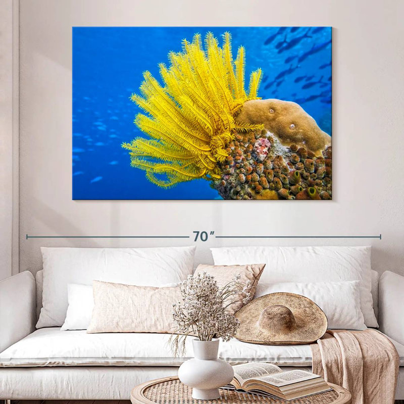 Étoile de mer à plumes jaunes Brampt, H 34 po x l 51 po