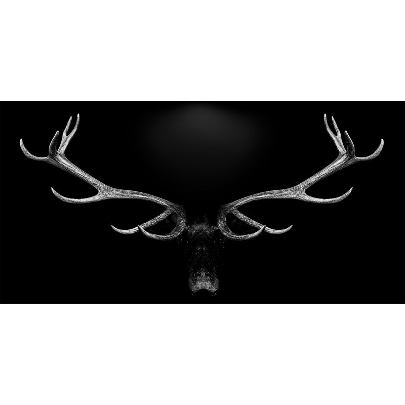 Grey Deer Head Giclée - Wrapped Canvas Print