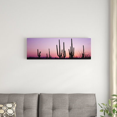 «Saguaro National Park, Tucson, Pima County, Arizona», reproduction de photo sur toile tendue