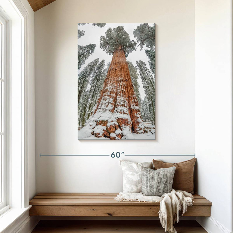 Harnek Wintry Sequoia Tree, 45" H x 30" W