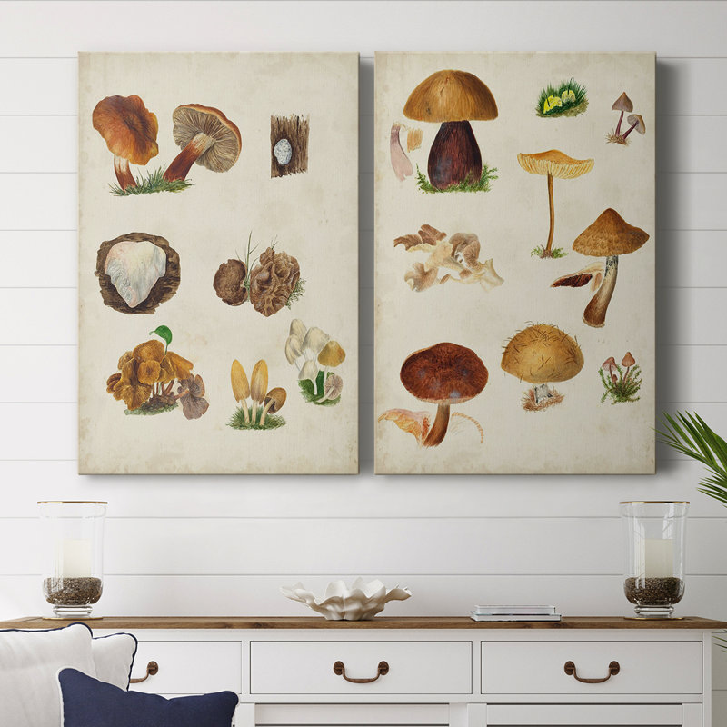 Toile tendue avec champignon I-Premium Gallery - prêt à être accroché