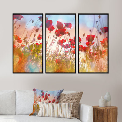 " Cute Poppy Flowers In Sunlight " 3 - Pieces