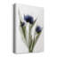 Xray tulipe, impression sur toile tendue-1590357745
