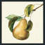" Vintage Fruit Du Marche " by Lisa Audit-88121000