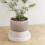 8 po Jardinière Sakura-137721272-137721274