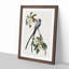 Fork-Tailed Flycatcher Bird by John Audubon - Picture Frame Painting Print-55577689-55577688