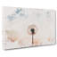 Dandelion - Wrapped Canvas-56660487