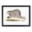 Porcupine Illustration by John Edward Gray - Picture Frame Painting Print-55767089-55767091