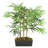 Faux Bamboo Tree in Pot-113470517