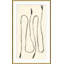 Whip I Giclee Print by Susan Hable