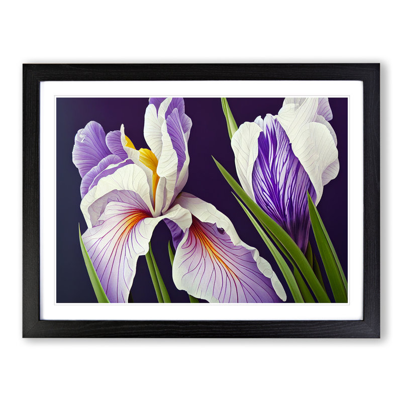 Stunning Iris Flowers - Single Picture Frame Print, 25cm H x 34cm W x 2cm D, Black