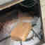 Customer photo 4 of 5
