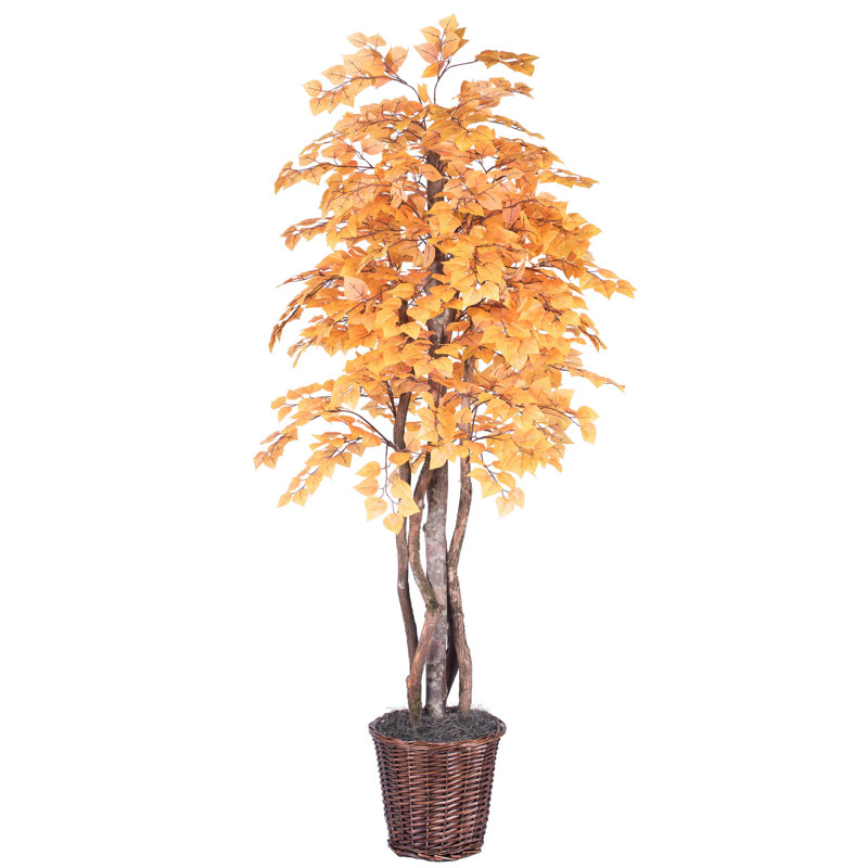 72'' Faux Tree in Wicker/Rattan Basket