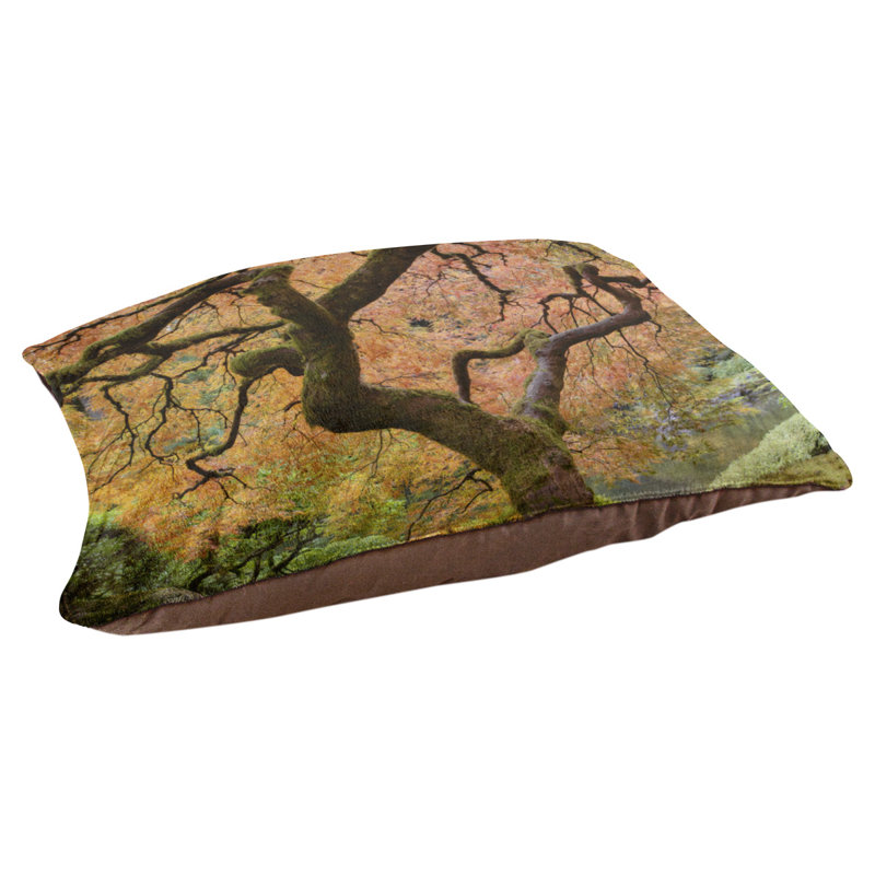 Coussin de designer de l’arbre d’érable japaneses Burkey, Orange / Brun foncé, L 32,5 po x l 42,5 po