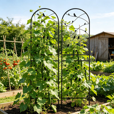 Ensemble de 2 treillis de jardin en métal 70 po x 19 po - Treillis d'extérieur robuste antirouille pour plantes grimpantes, support de fleurs thermolaqué noir avec décoration papillon pour vignes, roses, concombres, haricots