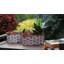 Planter-748794097-748794110