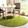Pixley Hand Loomed Wool Polka Dots Rug