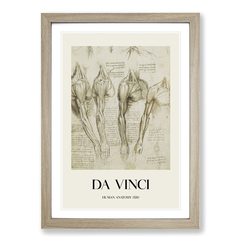 Human Anatomy Vol.8 by Leonardo Da Vinci - Picture Frame Drawing, 36cm H x 27cm W x 2cm D, Oak Framed