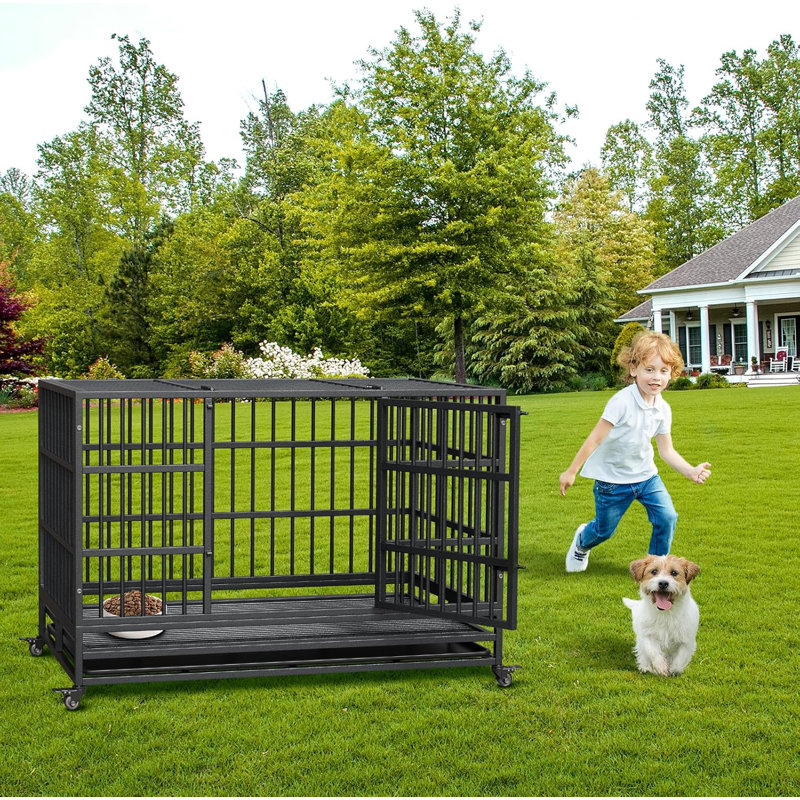 Cage d'intérieur pliable robuste pour chien, Grand (H 33,5 po x l 29,02 po x P 48,5 po)