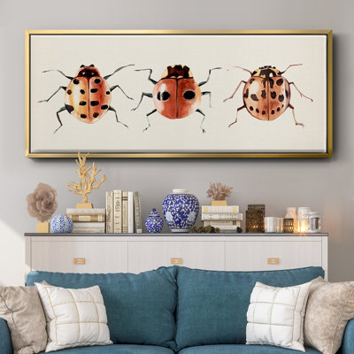 Ladybug Display II- Framed Canvas