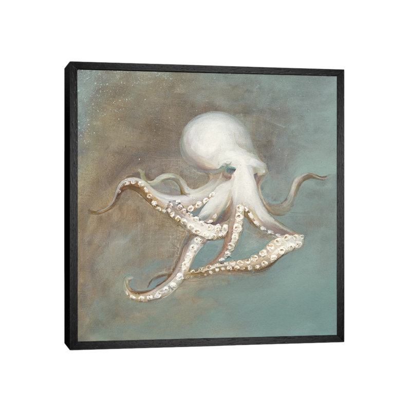 Treasures From The Sea V by Danhui Nai - Print on Canvas, 66.04 cm H x 66.04 cm W, Black Framed