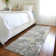 Machine Washable Indoor/Outdoor Claudian ACN1234 Gray Rug