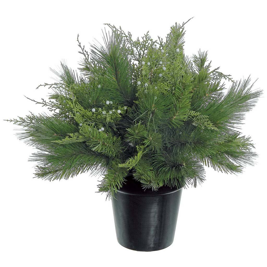 Primrue 13'' Artificial Evergreen Plant in Pot | Wayfair