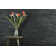Cladding 2" x 12" Slate Stone Look Wall Tile