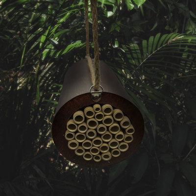 Rhinebolt Hanging Insect House