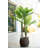 62'' Faux Palm Tree in Basket