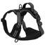 Pet Carrier-1521727700