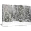 Foggy Winter Forest Panorama - Wrapped Canvas Print-1294449410