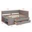 Lit de jour Kinsman-1590131187-1590131186