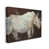 Wrapped Canvas