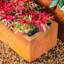 Pot Planter