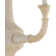 Aleister Candle Wall Light