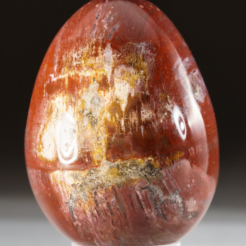 Petrified Wood Egg, Orange/Yellow/Brown, 3" H x 2" W x 2" D