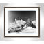 Dragon's Tail par Lars Van de Goor - reproduction de photo sur papier encadrée-58860154-58866685