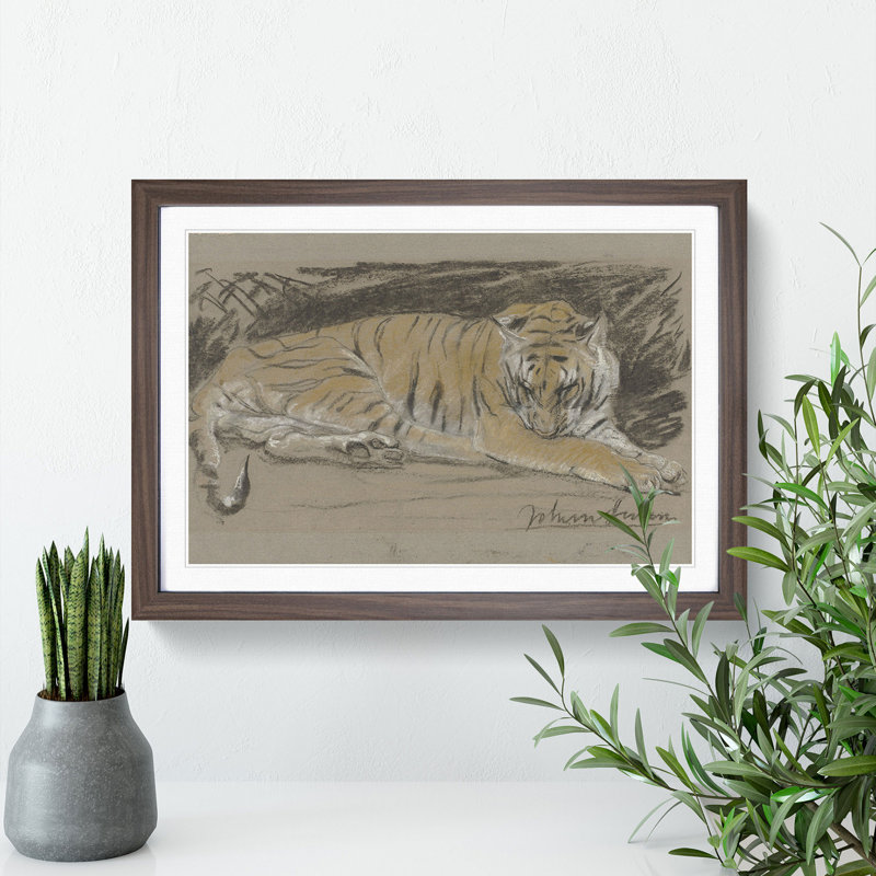 Study of a Tiger Vol.1 by John Macallan Swan - Picture Frame Painting, 27cm H x 36cm W x 2cm D, Walnut Framed