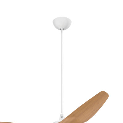 Haiku Ceiling Fan