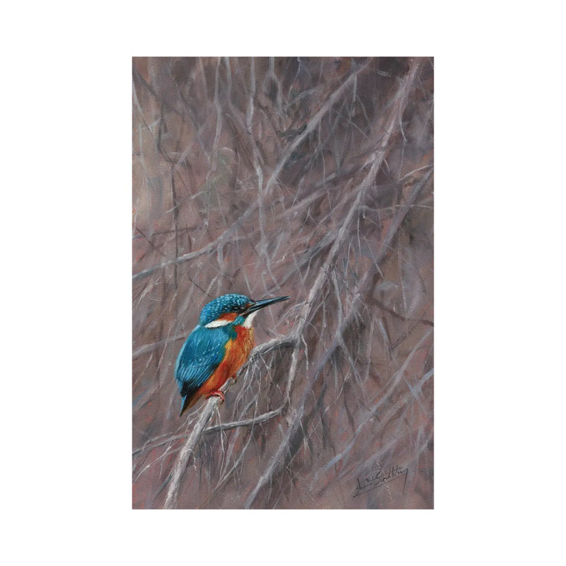 Kingfisher Waterside by David Stribbling - Wrapped Canvas Print, 66.04 cm H x 45.72 cm W x 1.91 cm D