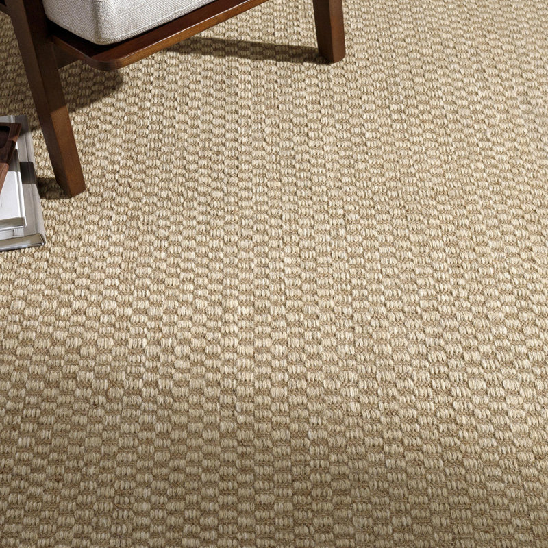 Bolton Checkered Area Rug in Tan, Rectangle 2' x 3'