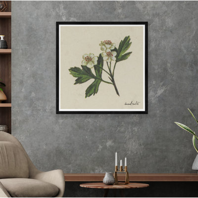 Moulton Collection " White Blossom I "
