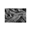 Bristlecone Study Print by Harold Davis-26677855-26677849